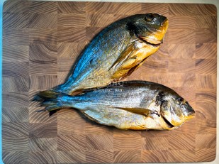 Сельдь Иваси х\к: Дорадо х/к